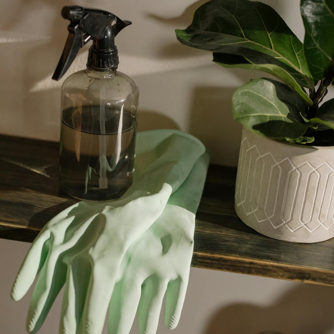 picture of celaning spray and gloves